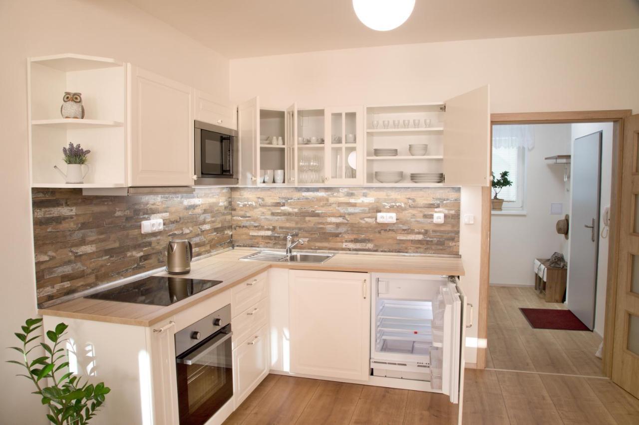 Mikulov Apartments - Apartman Radka 外观 照片